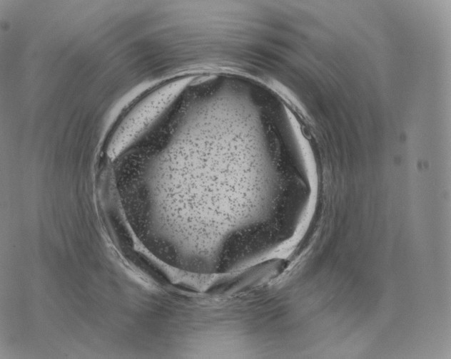 X0000076070854200610152226