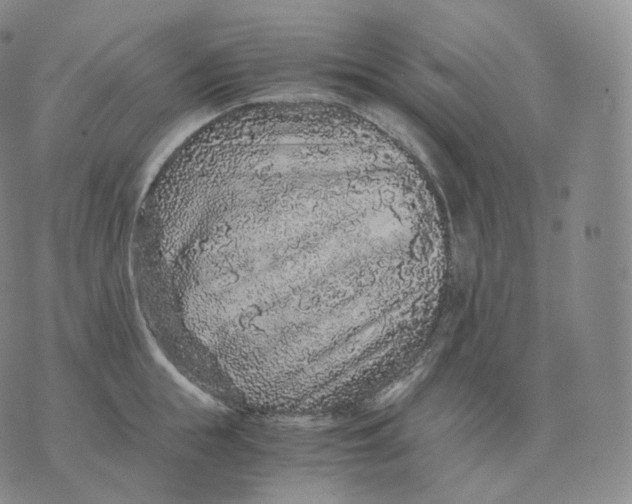 X0000076070855200610152226