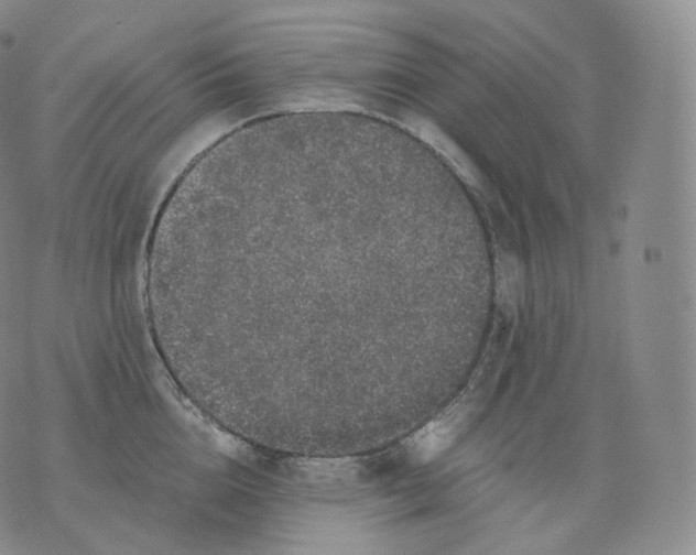 X0000076070856200610152226