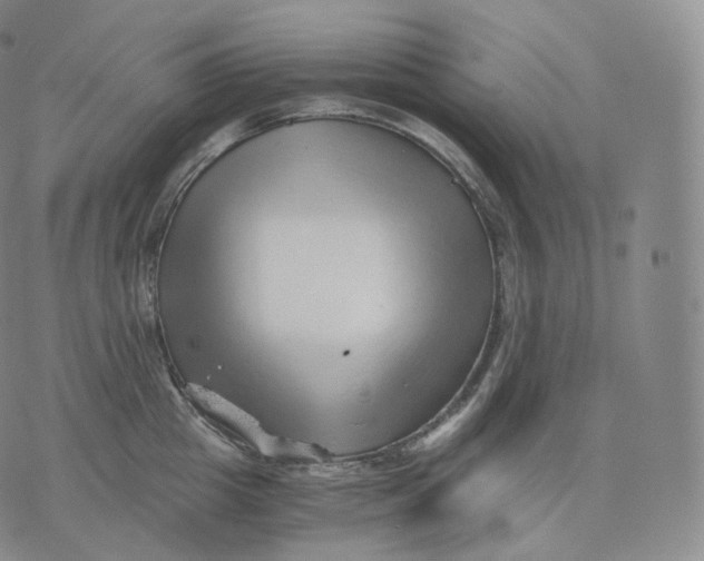 X0000076070857200610152226