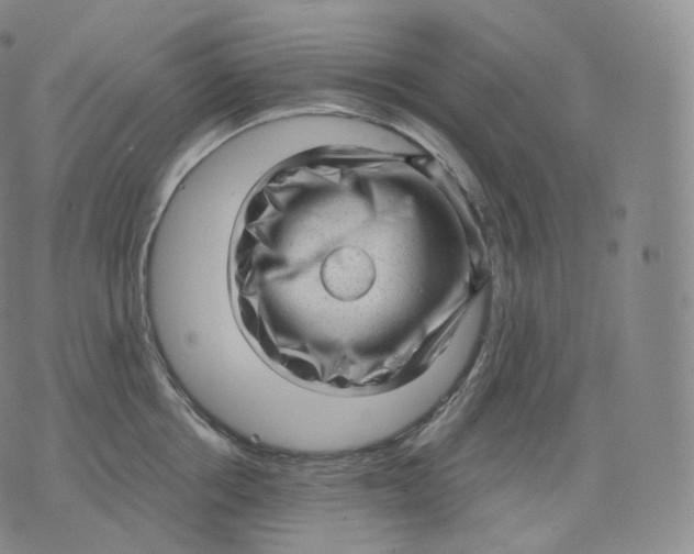 X0000076070858200610152226