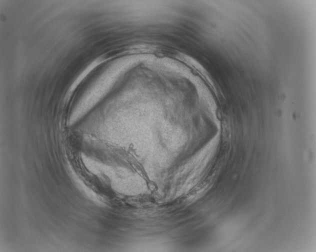 X0000076070859200610152226