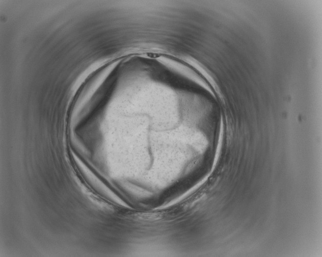 X0000076070861200610152226