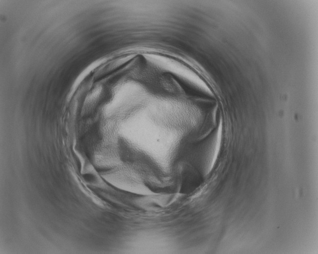 X0000076070862200610152226