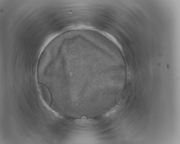 X0000076070863200610152226