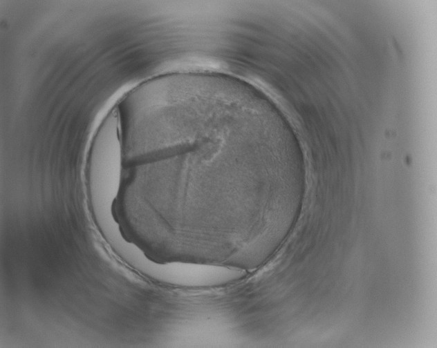 X0000076070864200610152226