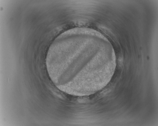 X0000076070865200610152225