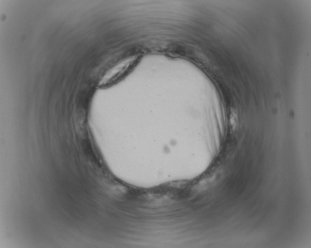 X0000076070867200610152225