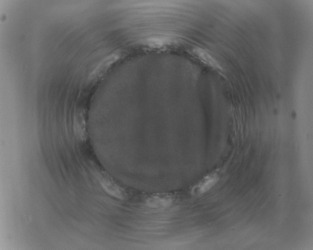 X0000076070868200610152225