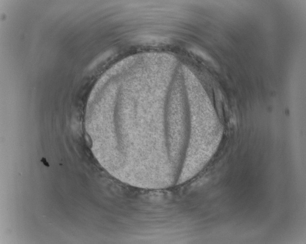 X0000076070869200610152225