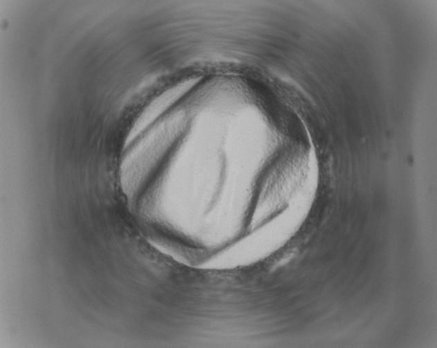 X0000076070870200610152225