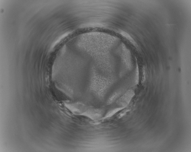 X0000076070872200610152225