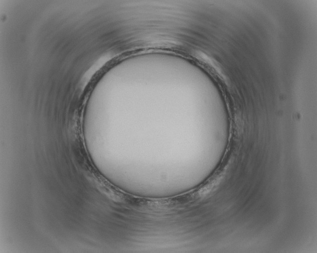 X0000076070875200610152225