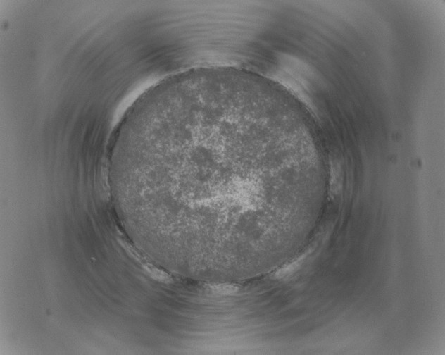 X0000076070878200610152225