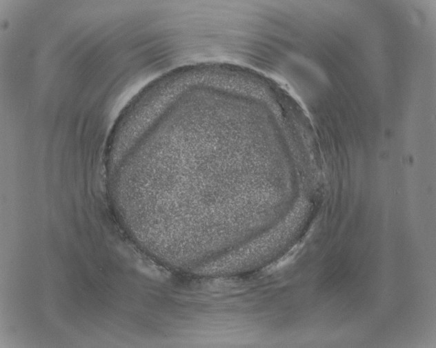 X0000076070879200610152225