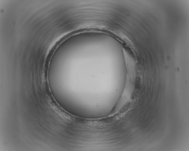 X0000076070880200610152225