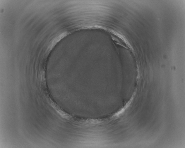 X0000076070881200610152225