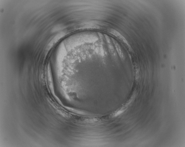 X0000076070882200610152225