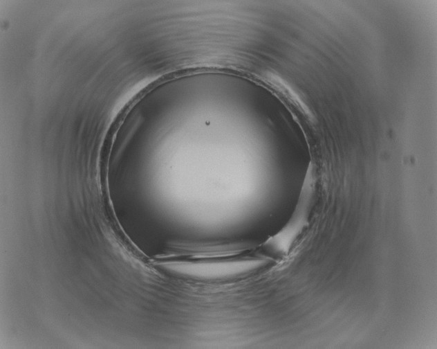 X0000076070884200610152225