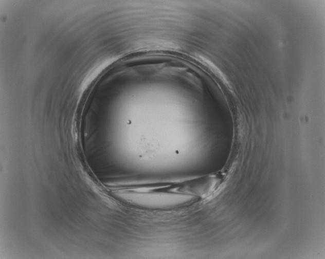 X0000076070885200610152225