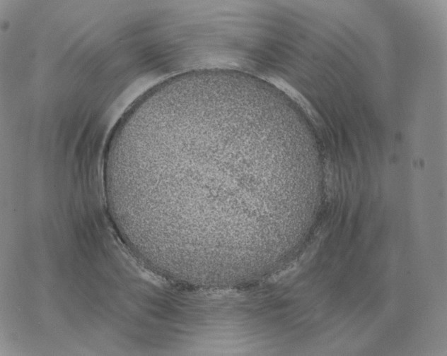 X0000076070886200610152225