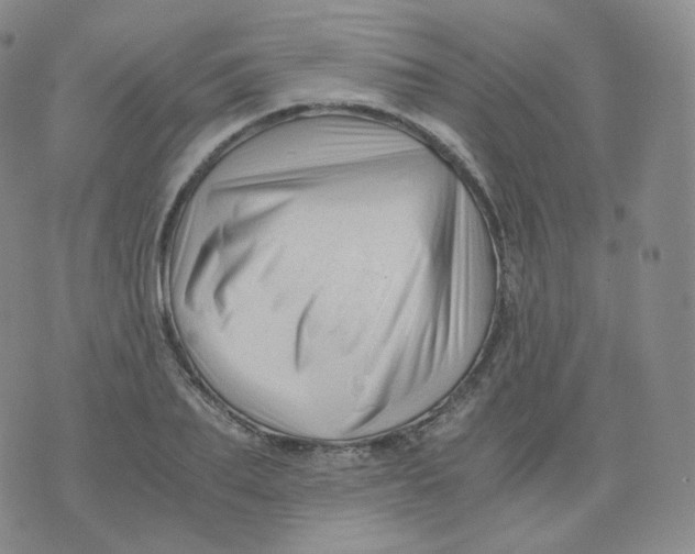 X0000076070887200610152225