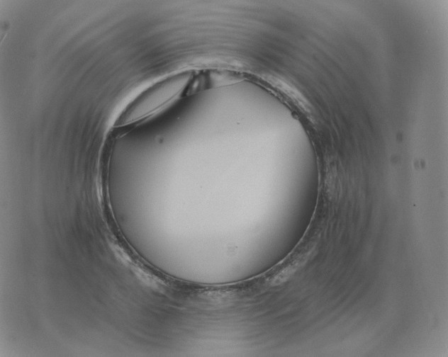 X0000076070888200610152225