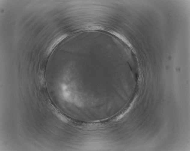 X0000076070889200610152225