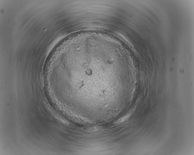 X0000076070891200610152225