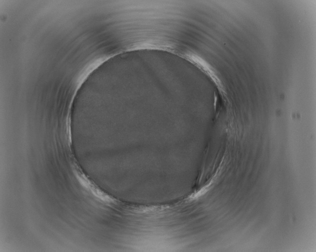 X0000076070892200610152225