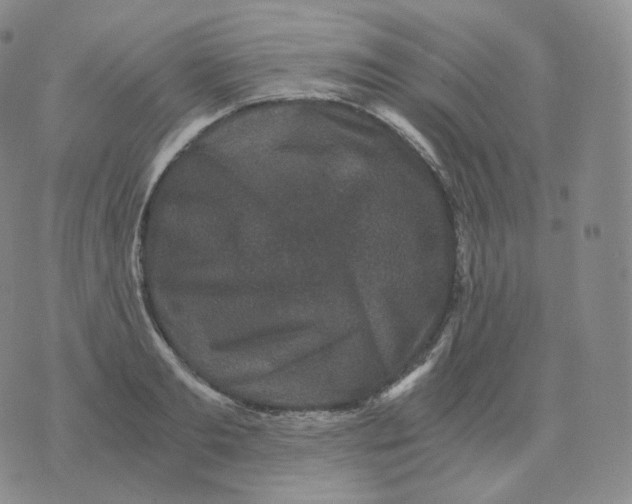 X0000076070893200610152225