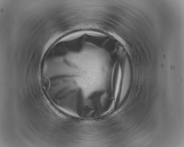 X0000076070894200610152225