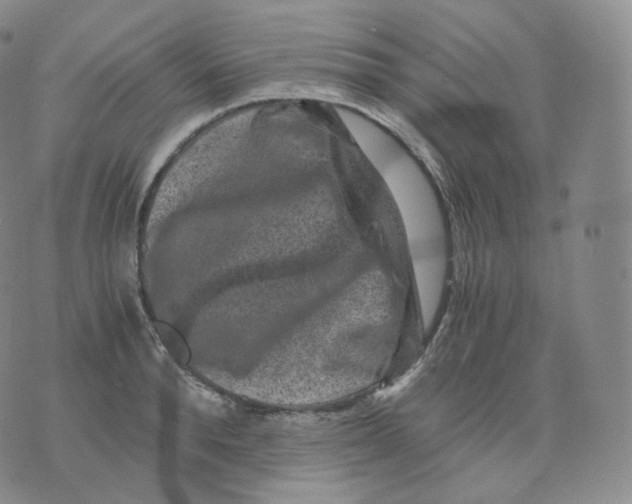 X0000076070896200610152225