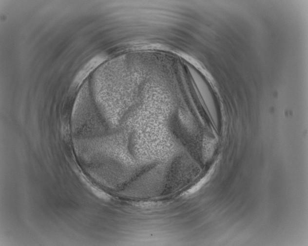 X0000076070897200610152225