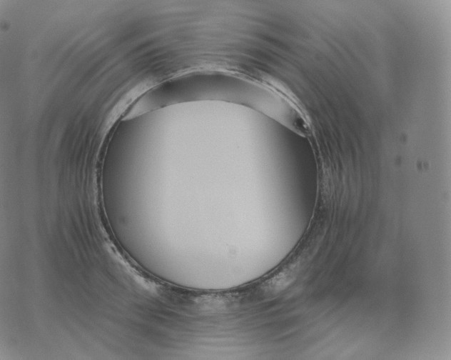 X0000076070898200610152225