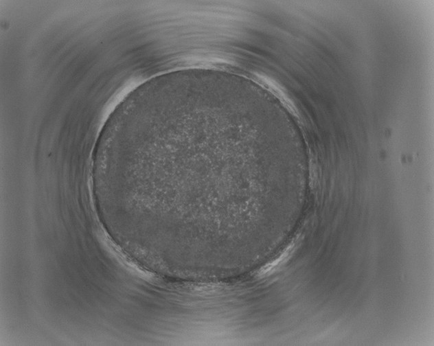 X0000076070899200610152224