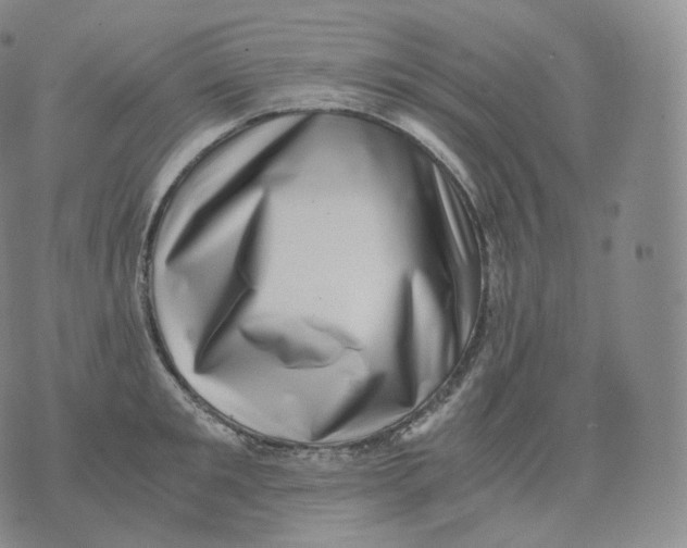 X0000076070901200610152224