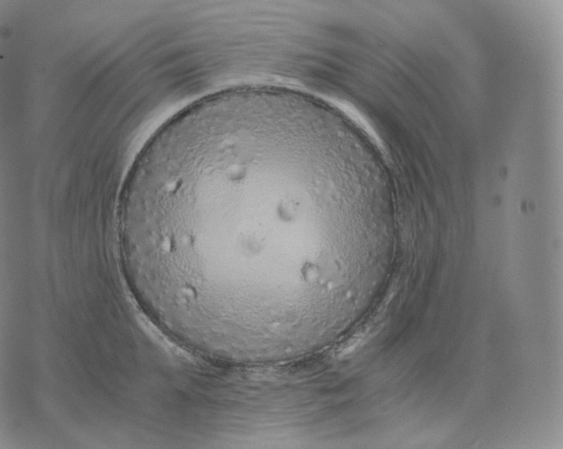 X0000076070903200610152224