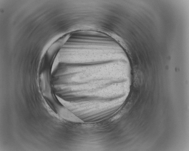 X0000076070904200610152224