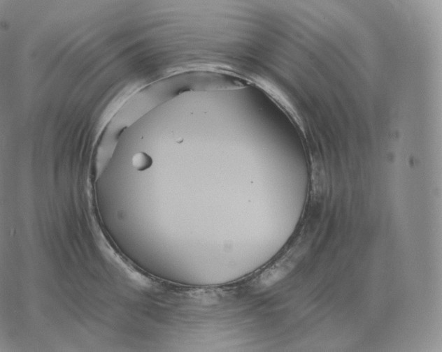 X0000076070906200610152224