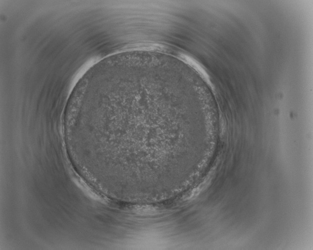 X0000076070907200610152224