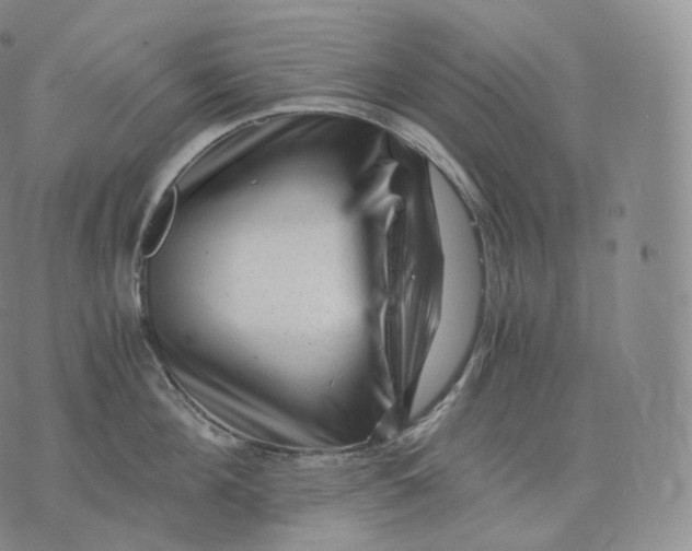 X0000076070908200610152224