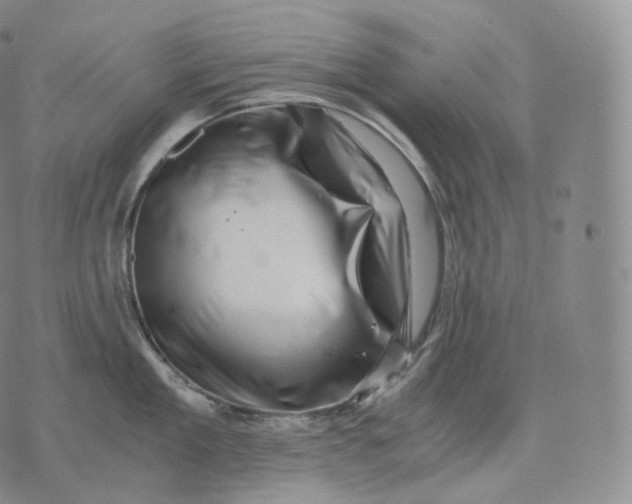 X0000076070909200610152224