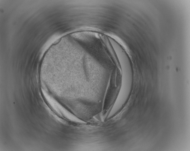 X0000076070910200610152224