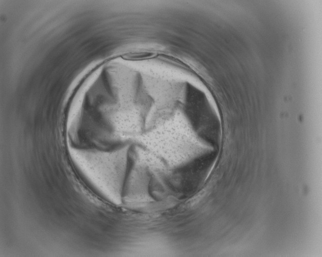 X0000076070912200610152224