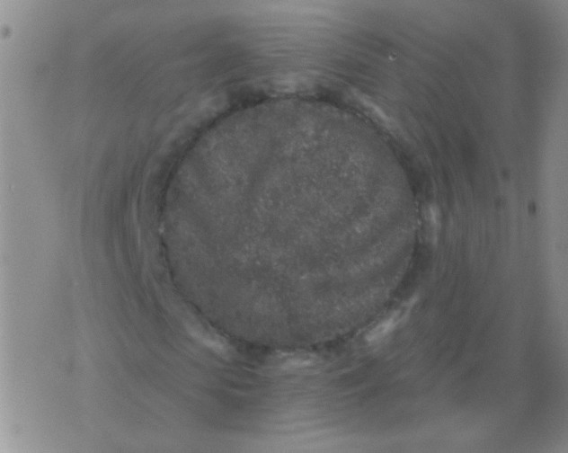 X0000076070913200610152223