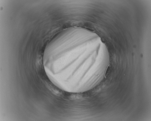 X0000076070914200610152224