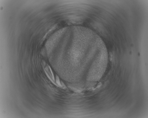 X0000076070915200610152224