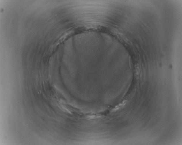 X0000076070916200610152224