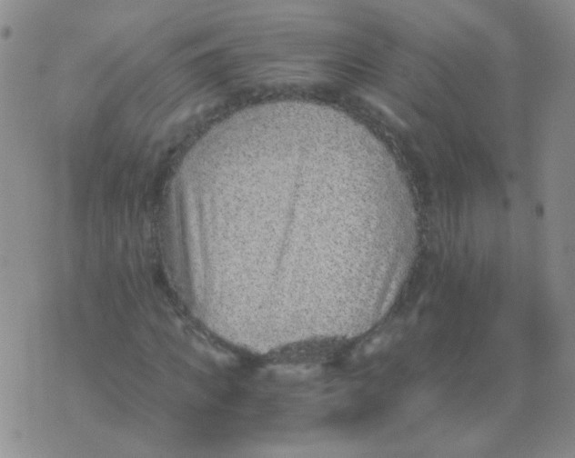 X0000076070917200610152224